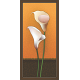 Floral Art Paintings (FF-247)